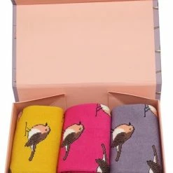 Exporteren beenmode winkel -Exporteren beenmode winkel 550x747 5